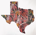99-STATER TXPKV